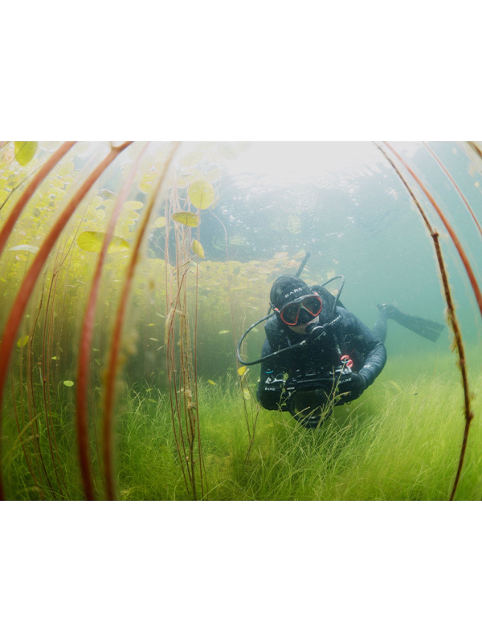 BARE Revel 3mm/2mm Wetsuit - Men's - Image 5